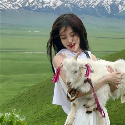 我最爱的女人们 宝藏版