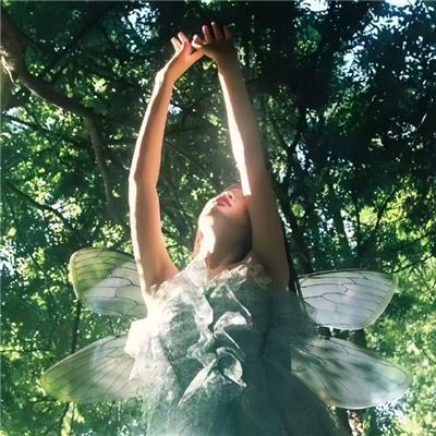 归宅部活动记录